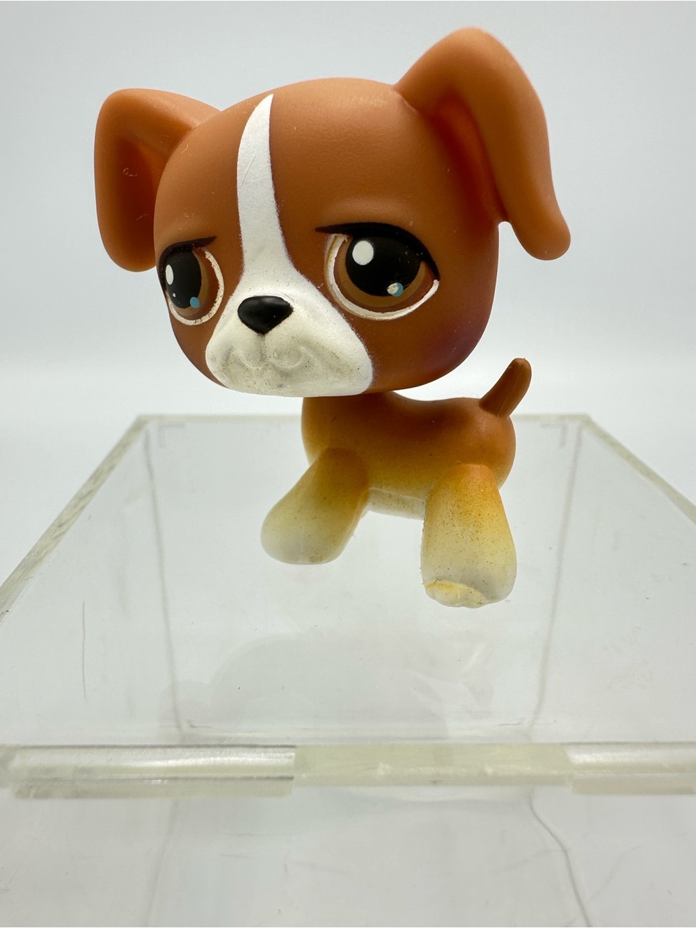 Littlest Pet Shop LPS #25 BOXER DOG Authentic 2004 Hasbro